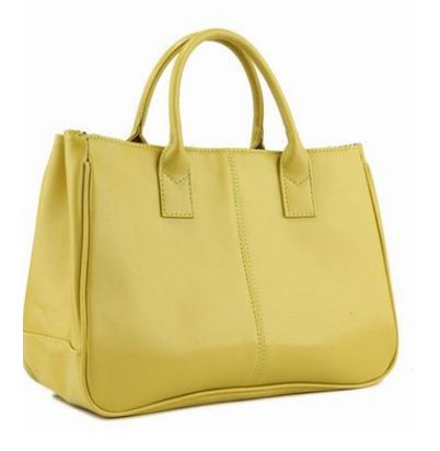 Fashion Tote Handbag