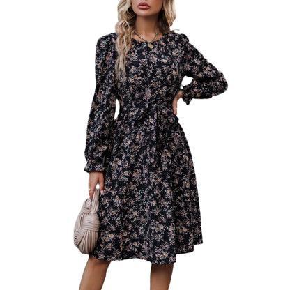 Fashion Long Sleeve Style Dress