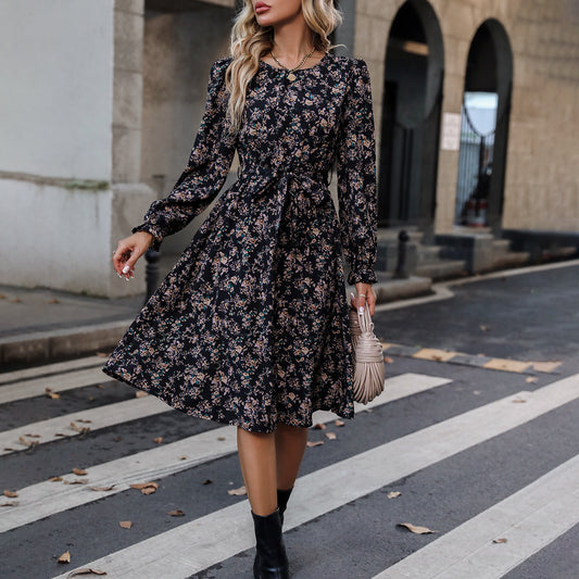 Fashion Long Sleeve Style Dress